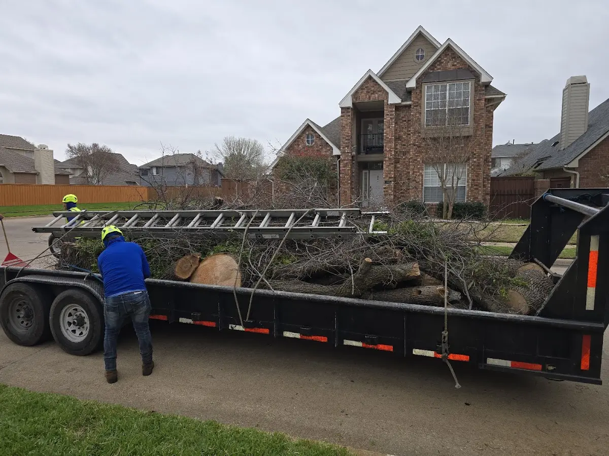 Expert Tree Pest Control with proper safety equipment in Vanceboro